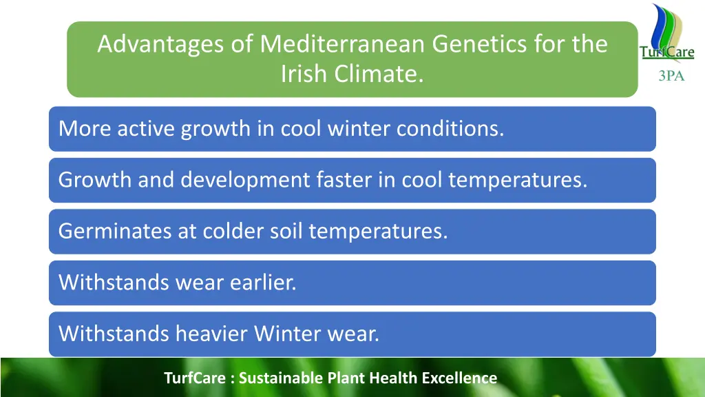 advantages of mediterranean genetics