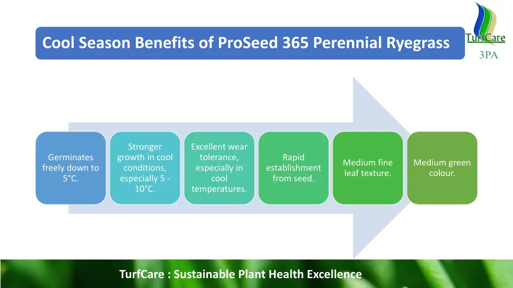 cool season benefits of proseed 365 perennial
