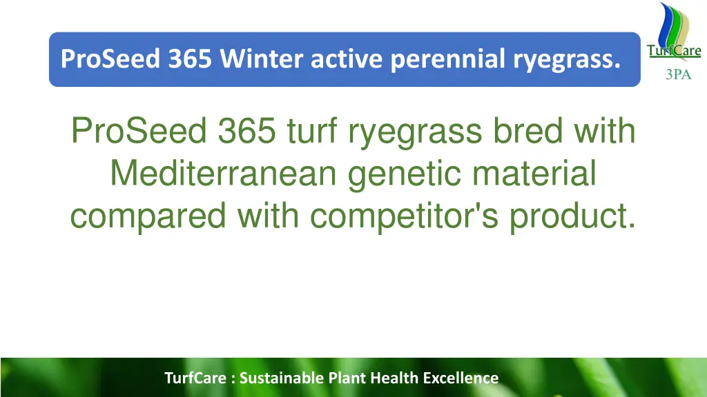 proseed 365 winter active perennial ryegrass