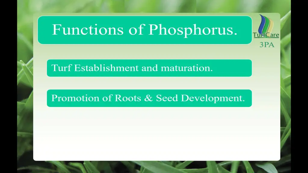 slide17