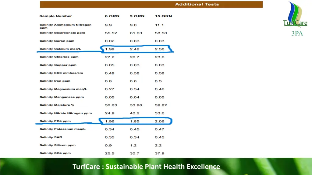 turfcare sustainable plant health excellence 11