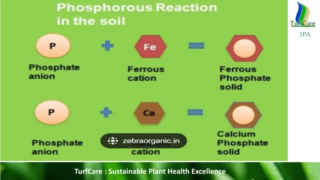 turfcare sustainable plant health excellence 12
