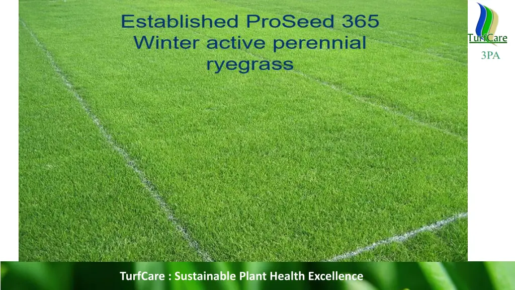turfcare sustainable plant health excellence 6