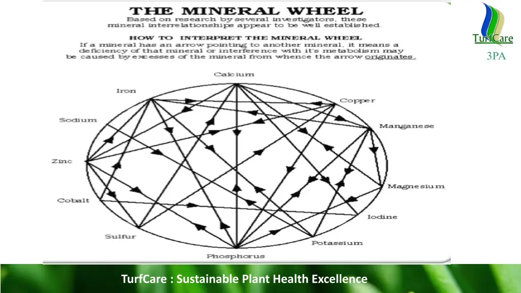 turfcare sustainable plant health excellence 9