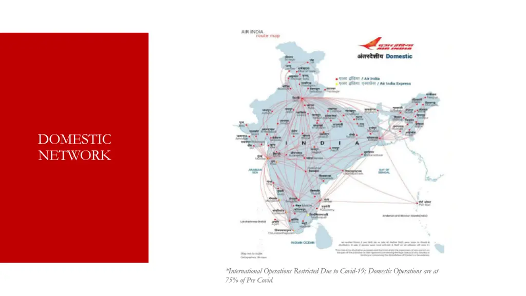 domestic network