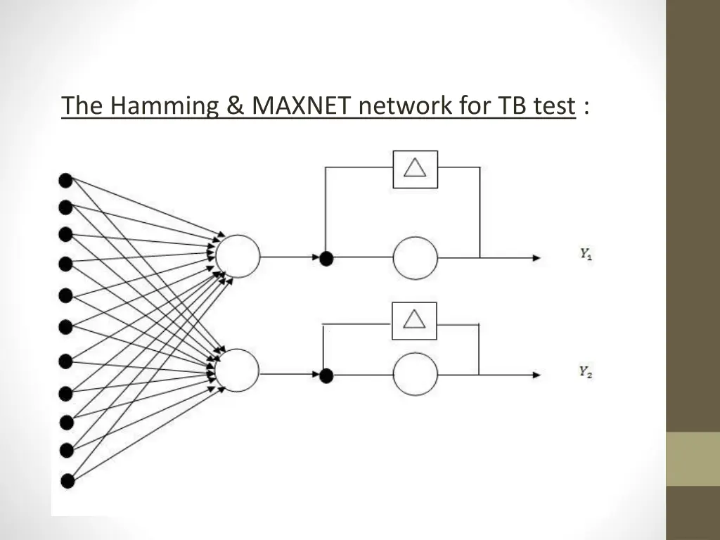 the hamming maxnet network for tb test