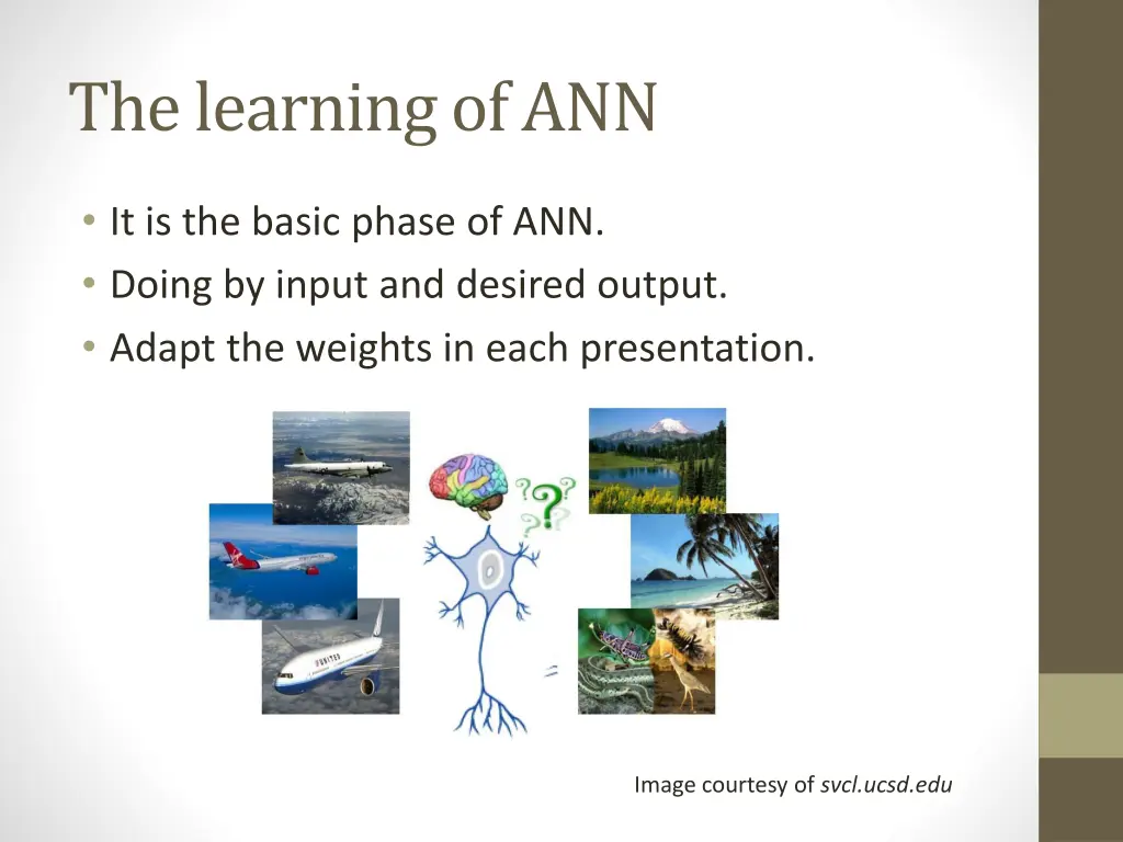 the learning of ann