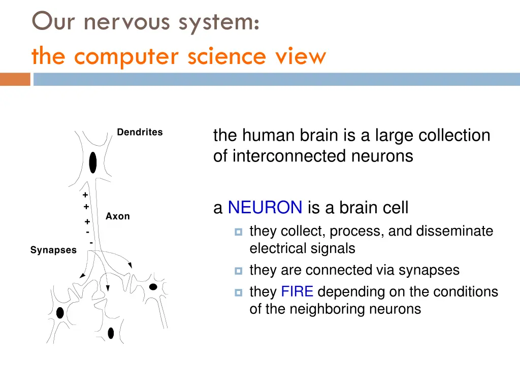 our nervous system the computer science view