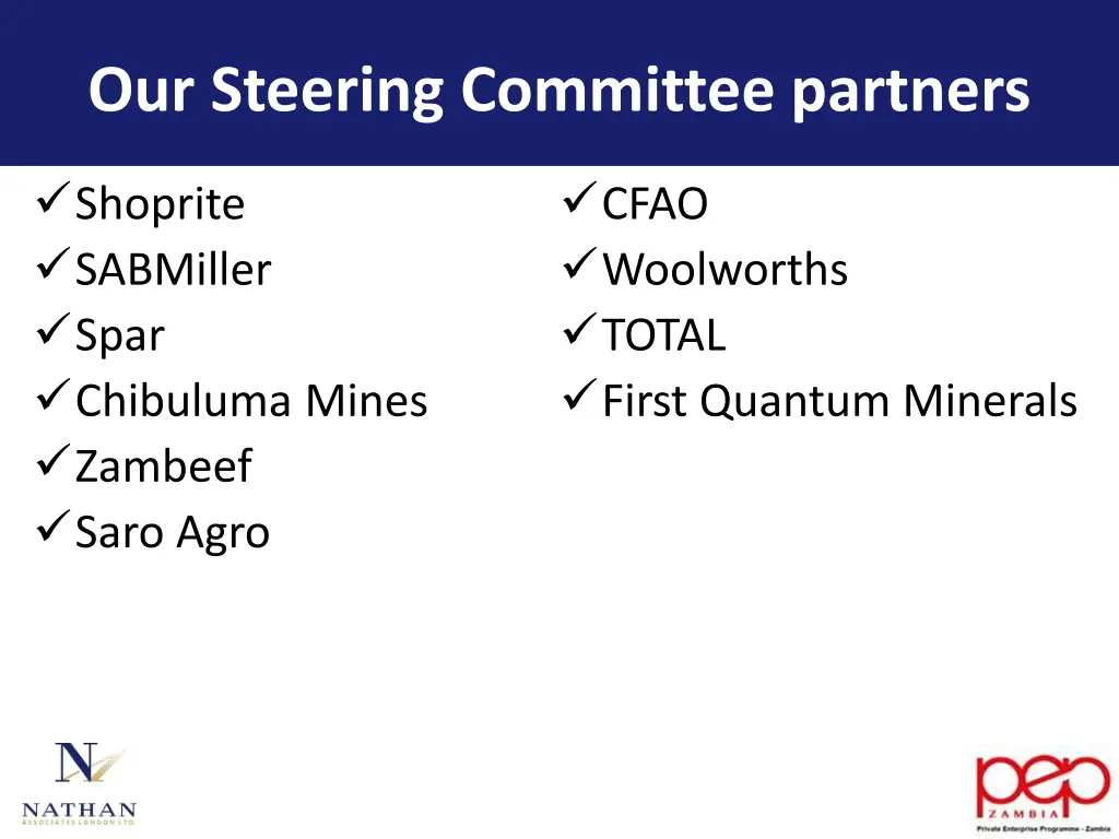 our steering committee partners