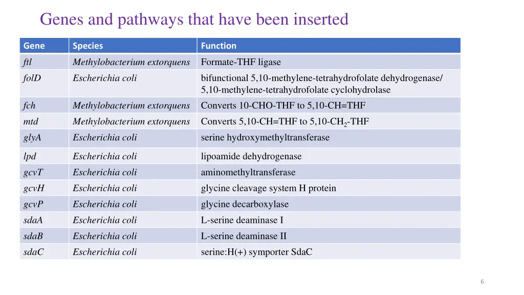 genes and pathways that have been inserted