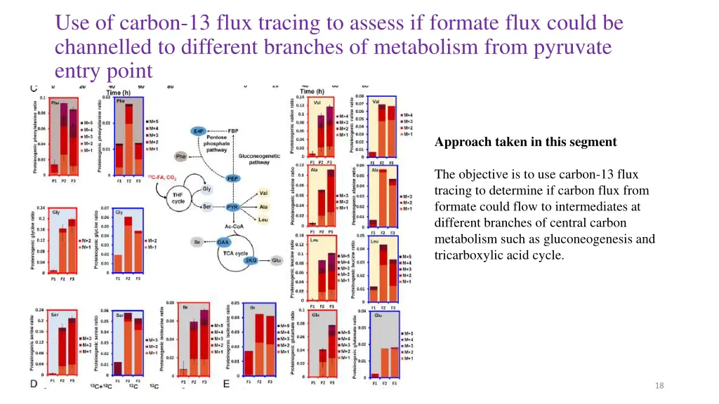 use of carbon 13 flux tracing to assess