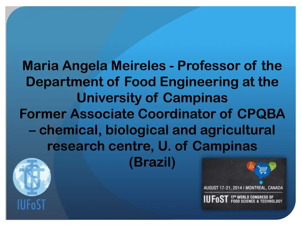 maria angela meireles professor of the department