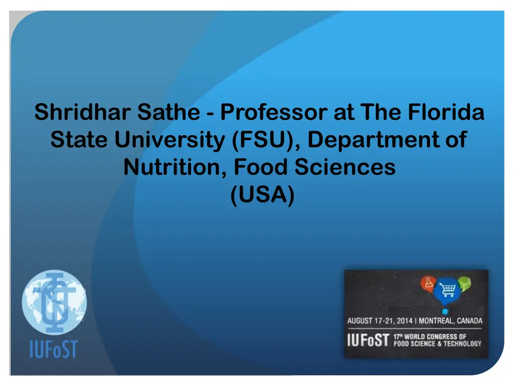 shridhar sathe professor at the florida state
