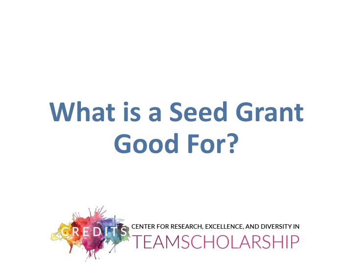what is a seed grant good for