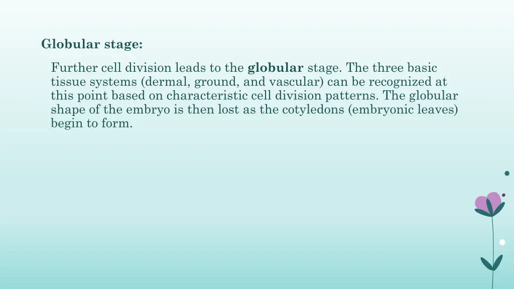 globular stage