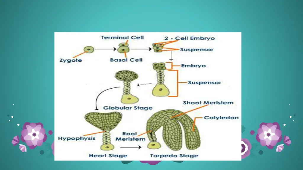 slide5