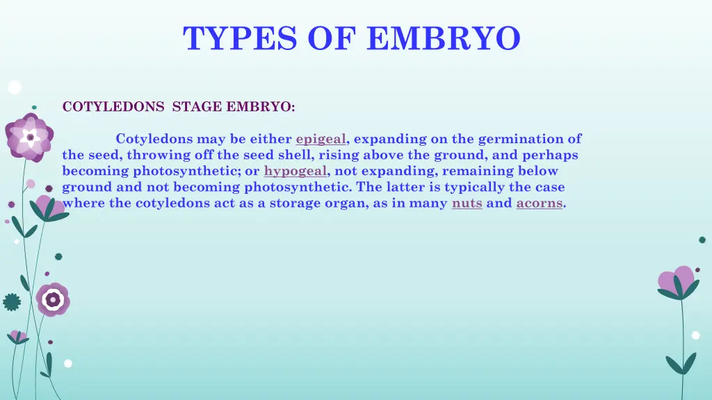types of embryo