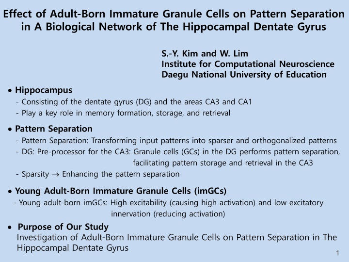 effect of adult born immature granule cells