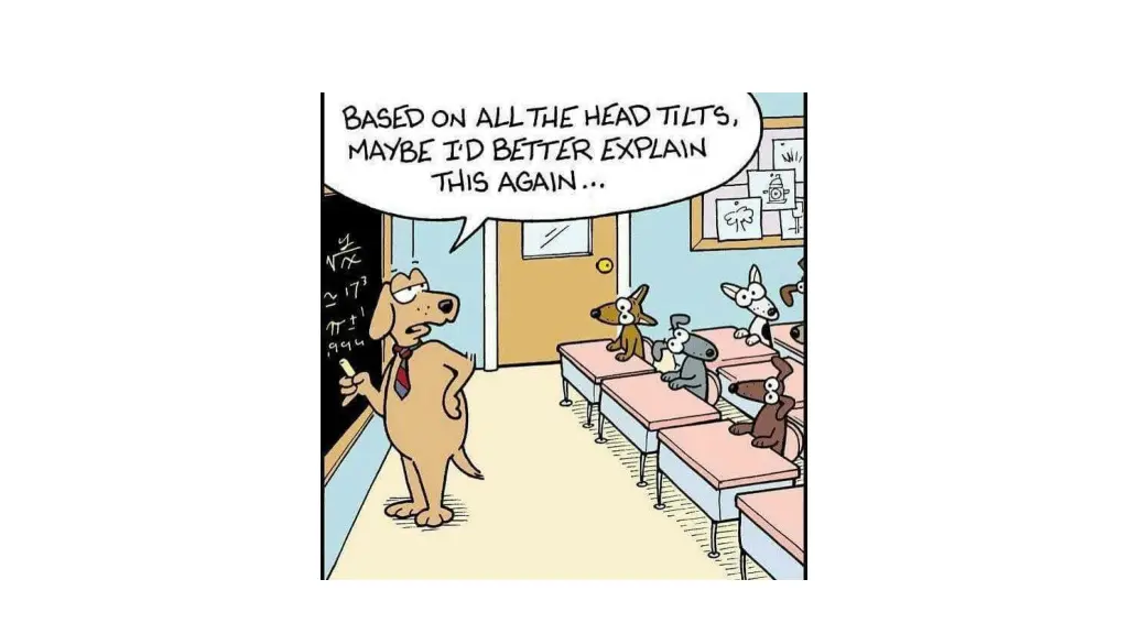 slide37