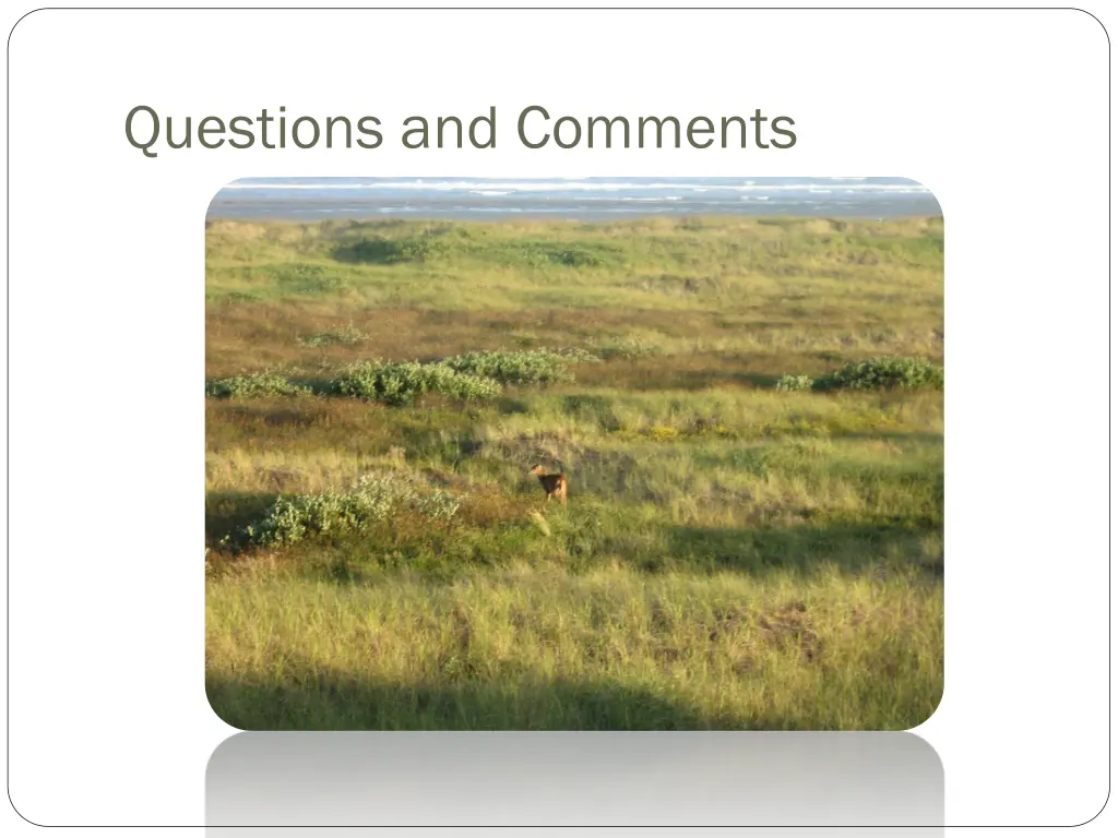questions and comments