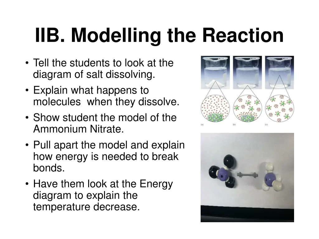 iib modelling the reaction