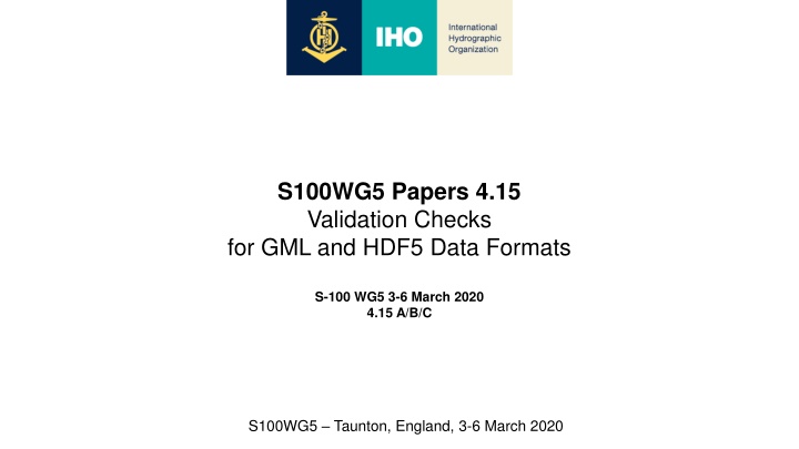 s100wg5 papers 4 15 validation checks