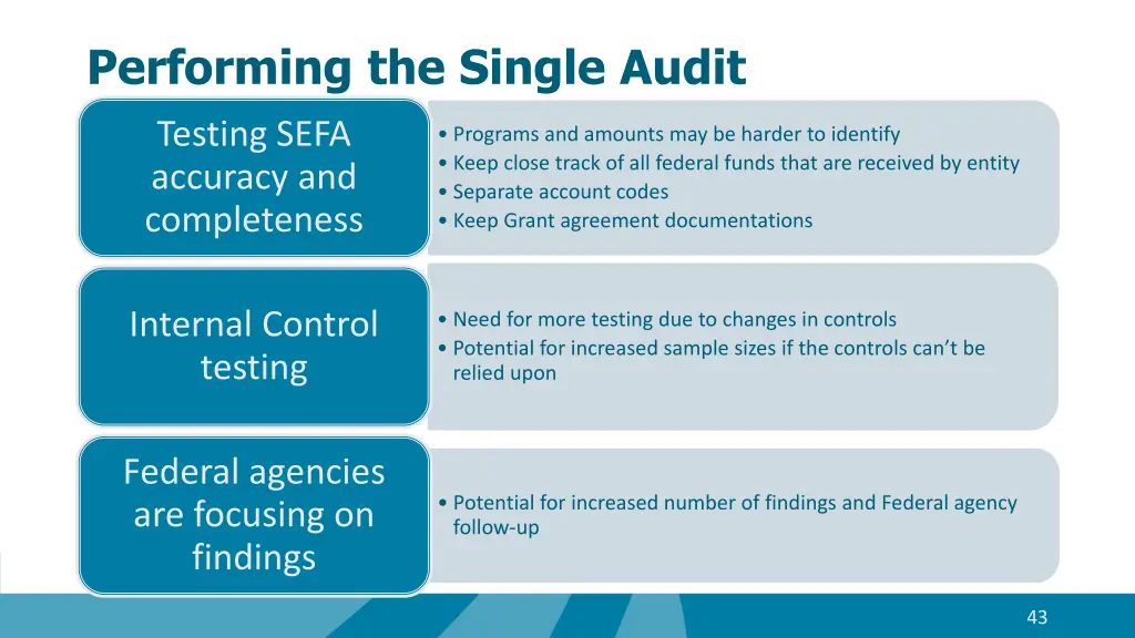 performing the single audit