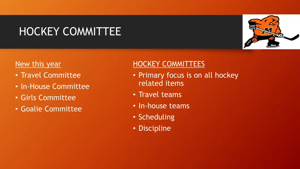 hockey committee