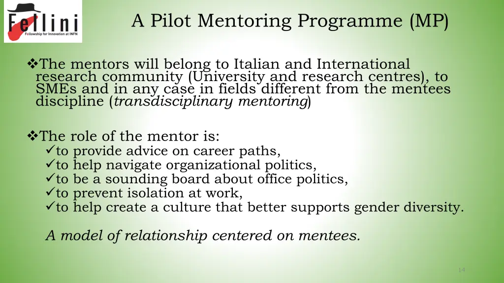 a pilot mentoring programme mp