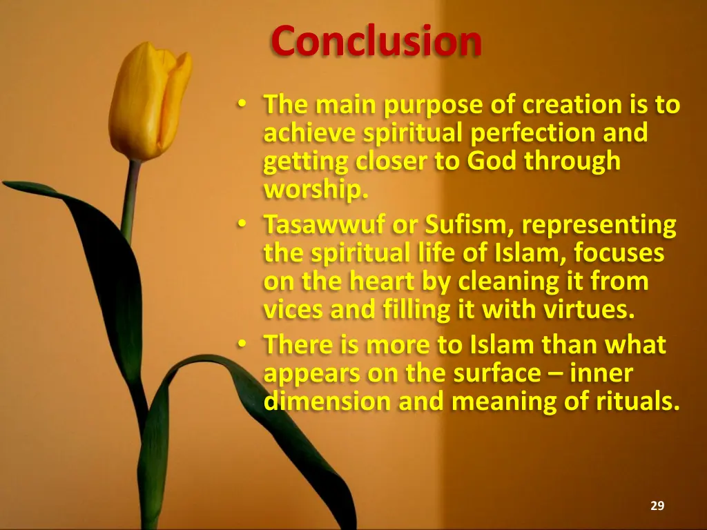 conclusion