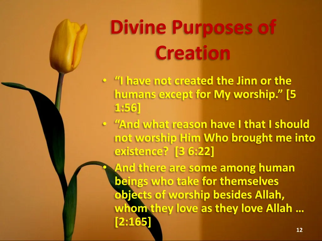 divine purposes of creation