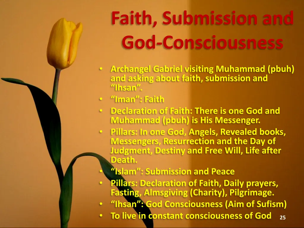faith submission and god consciousness