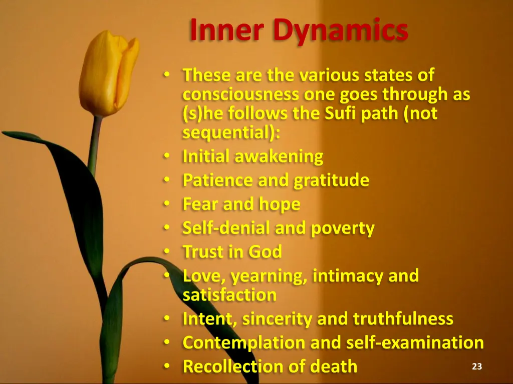 inner dynamics