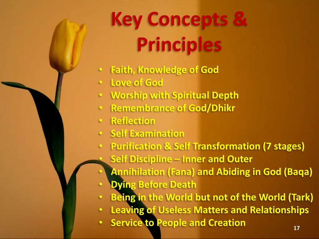 key concepts principles