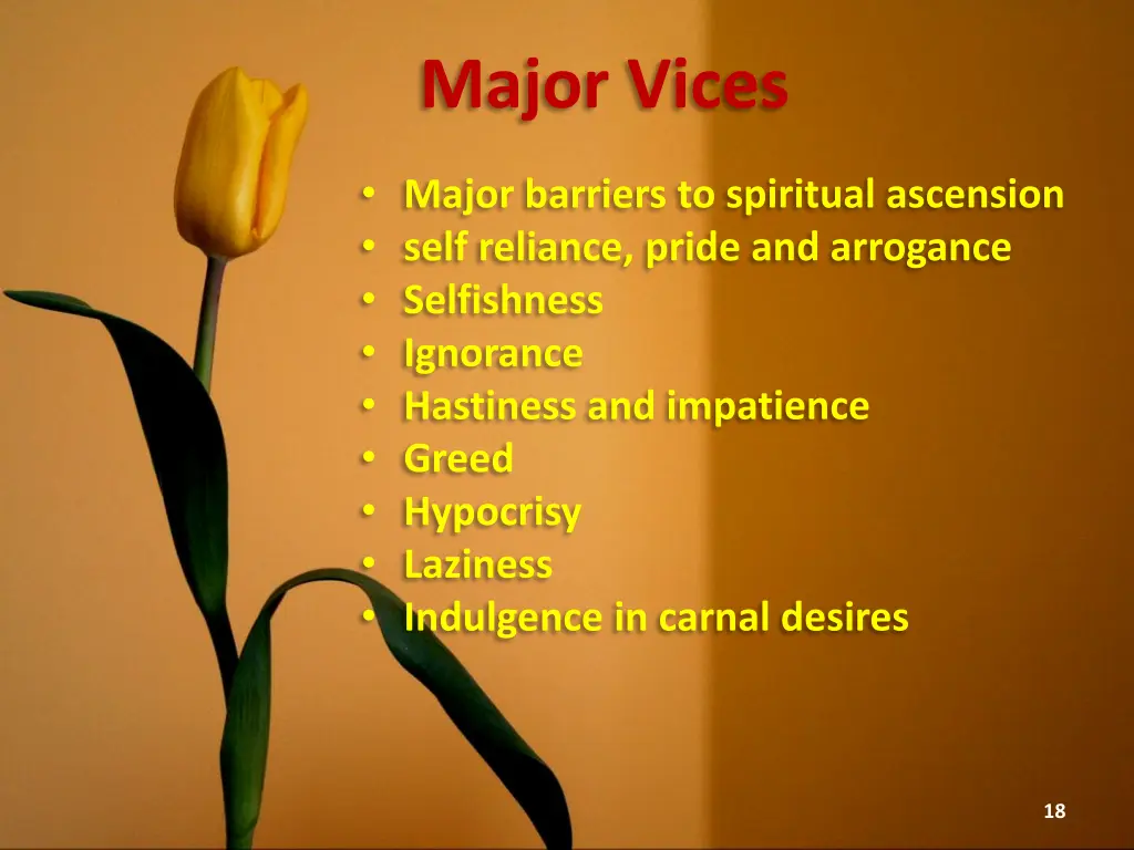 major vices