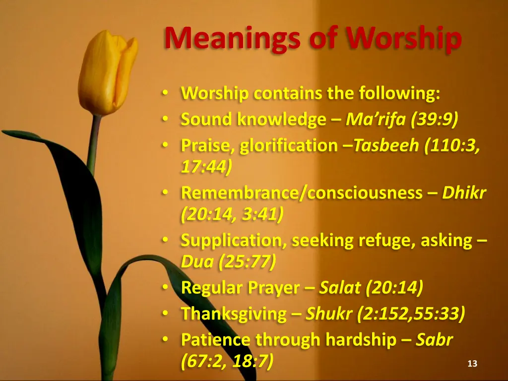 meanings of worship