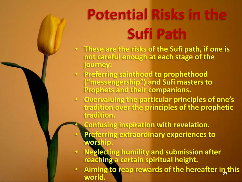 potential risks in the sufi path these