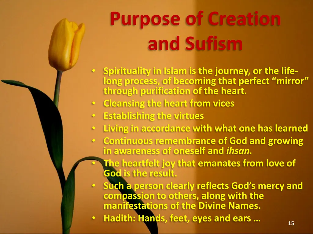 purpose of creation and sufism