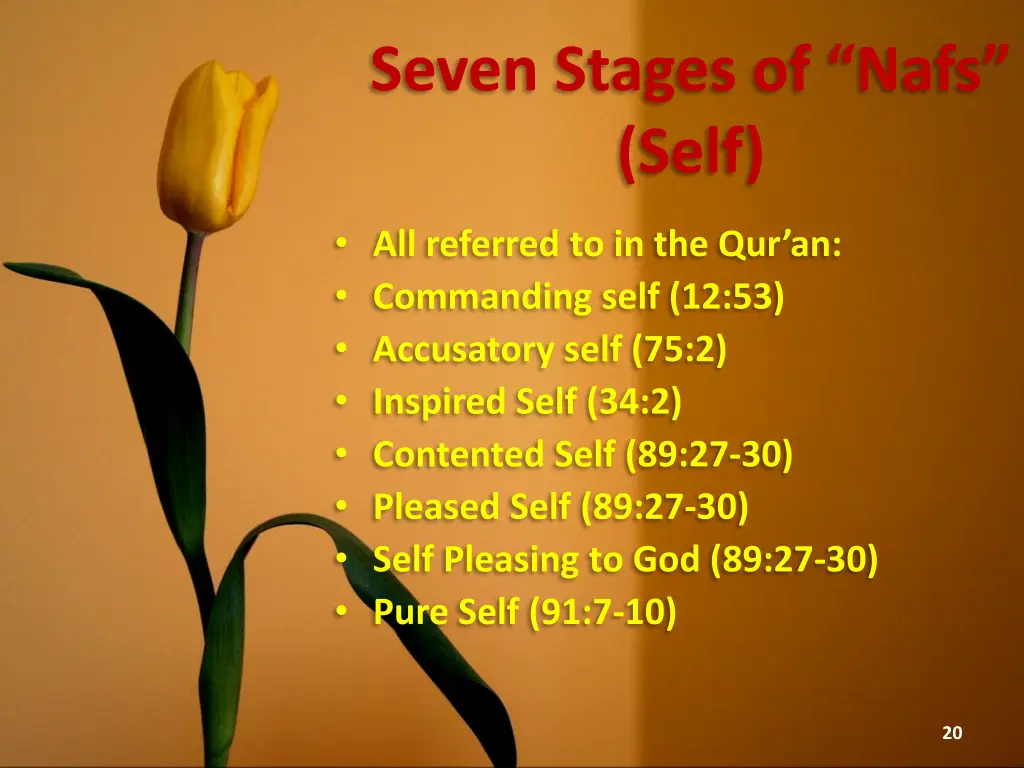 seven stages of nafs self