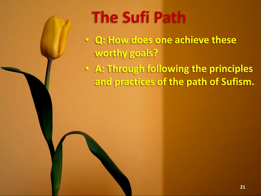 the sufi path