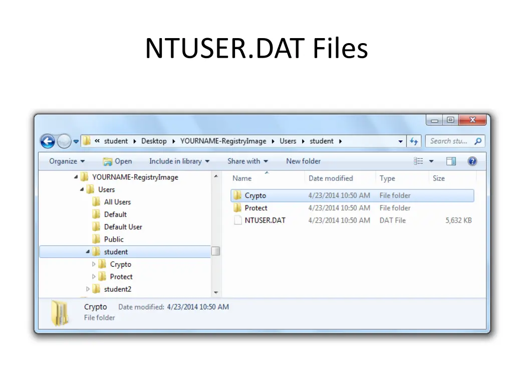 ntuser dat files