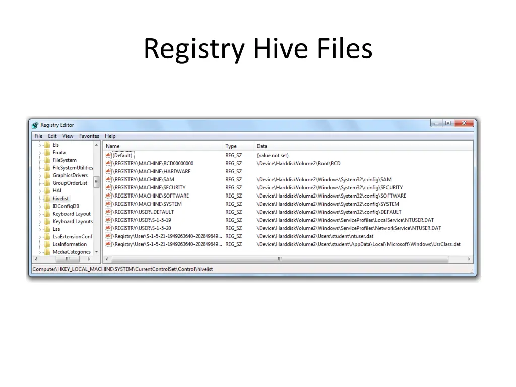 registry hive files