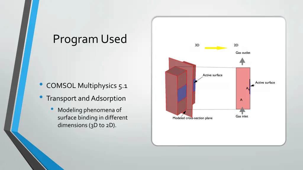 program used