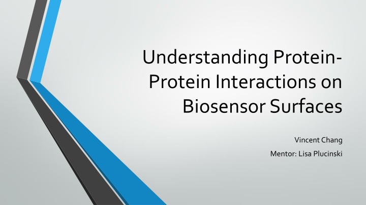 understanding protein protein interactions