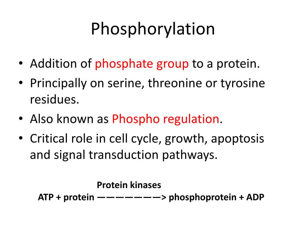 phosphorylation