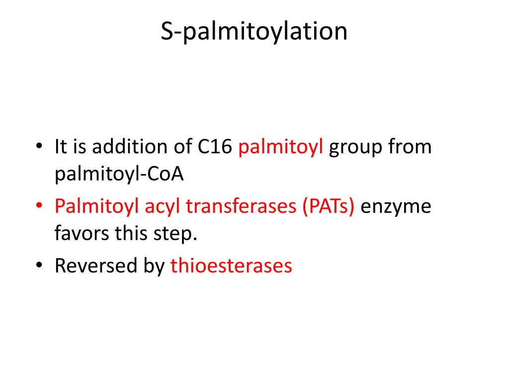 s palmitoylation
