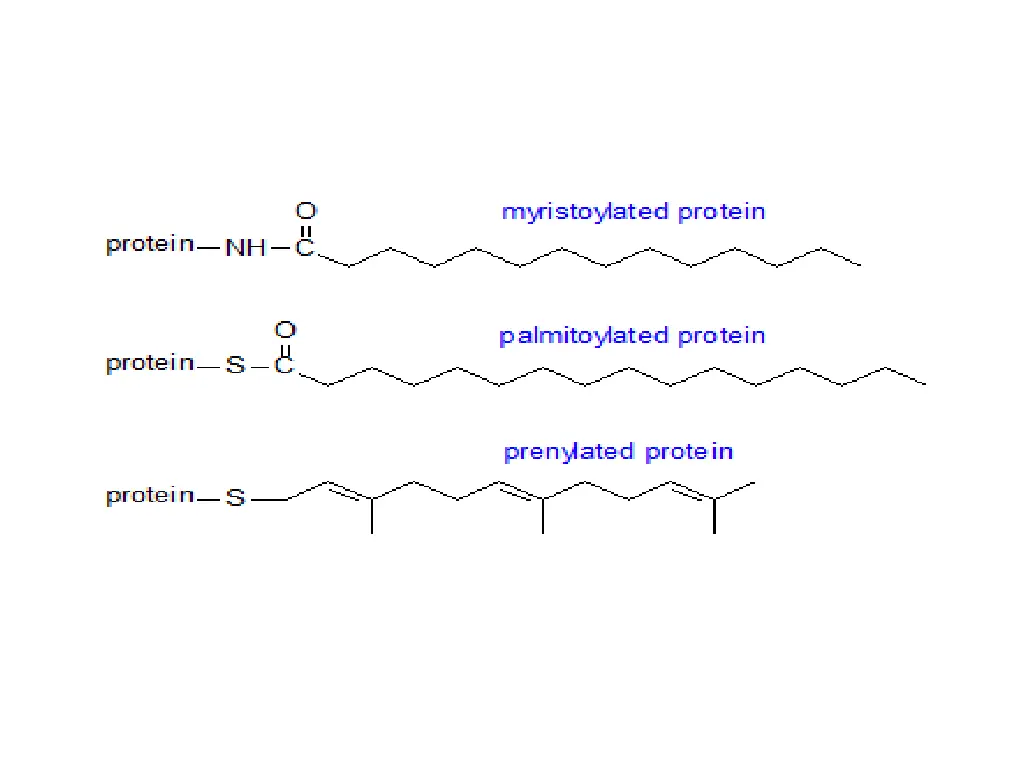 slide25