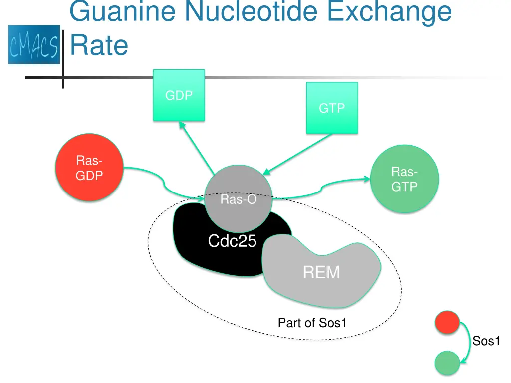 guanine nucleotide exchange rate 3