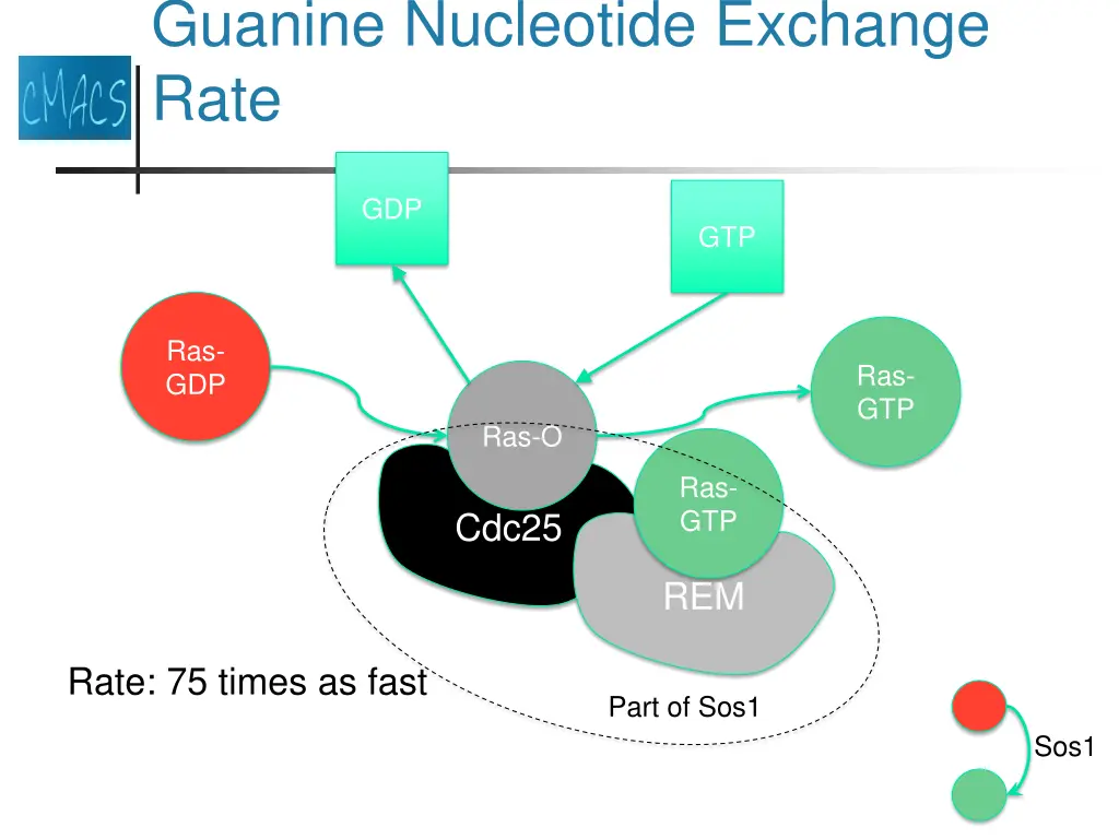 guanine nucleotide exchange rate 5