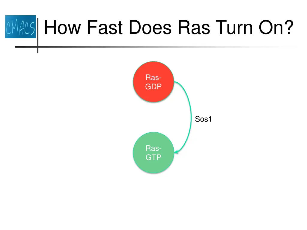how fast does ras turn on